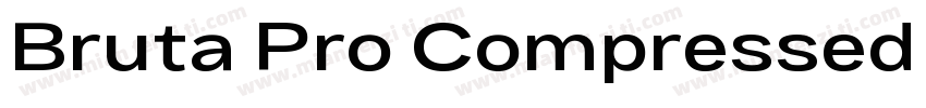 Bruta Pro Compressed Semi Bold字体转换